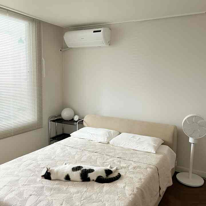 Beige and white toned bedroom featuring a bed with a cat lying on it, clean and modern ambiance