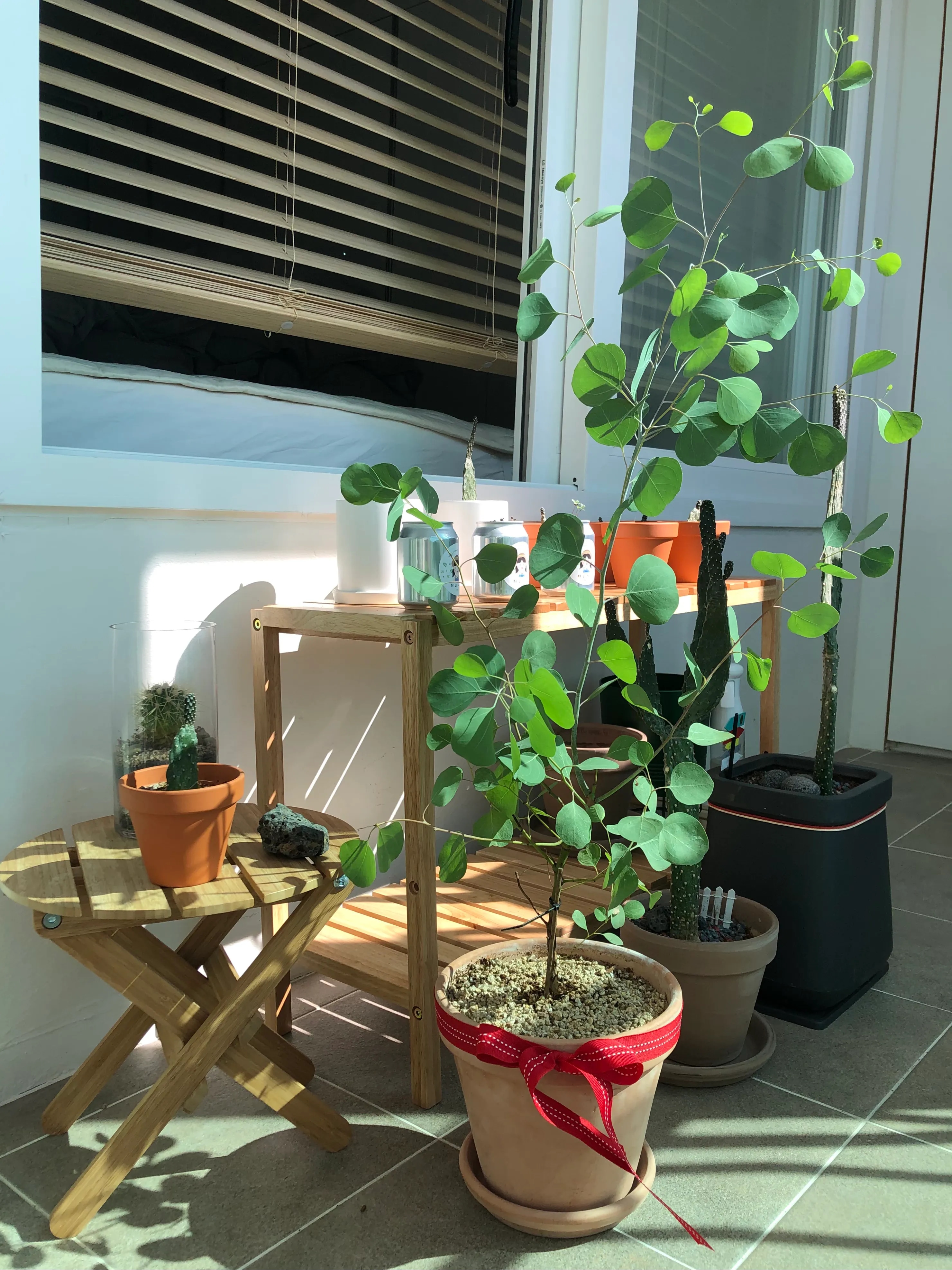 Solid Wood Plant Stand user photo