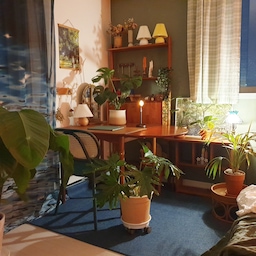 핫한 선셋조명 써보기
