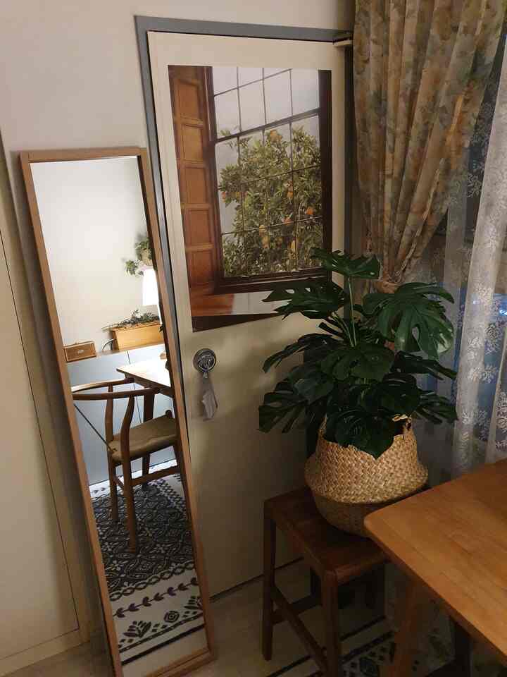 Natural-toned dining room with wood furniture, large leafy plant, full-length mirror on left and floral curtains, creating a cozy atmosphere