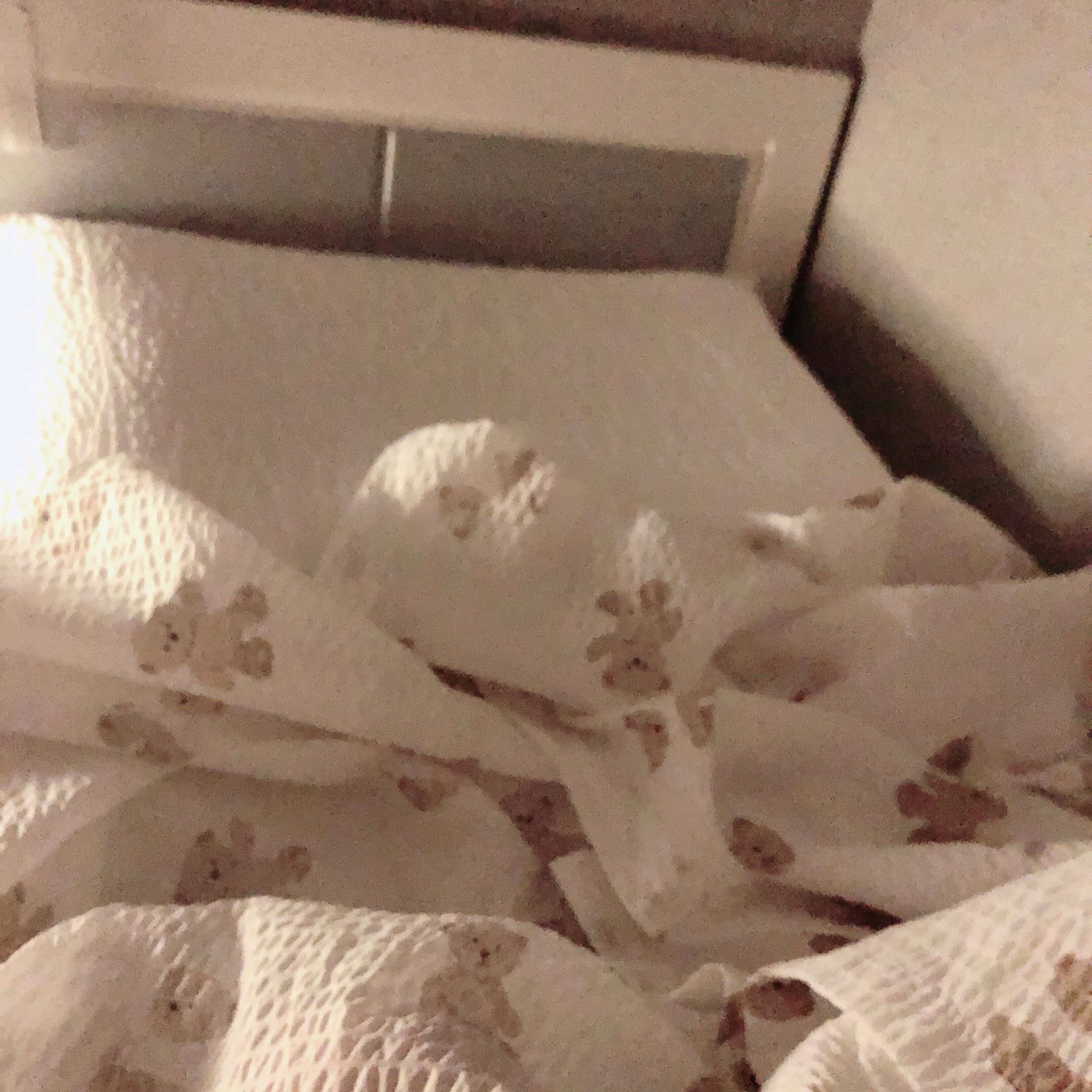 Summer Romance Seersucker Light Blanket + Pillowcase Set user photo