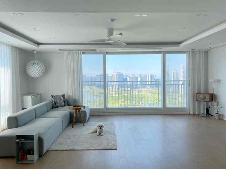 White walls and wood-tone floor living room featuring a light blue sectional sofa and a small dog, with simple and natural modern design