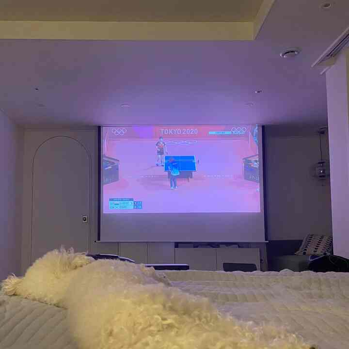 White-toned bedroom featuring a large bed with a pet lying on it and a 120-inch electric projector screen displaying table tennis match