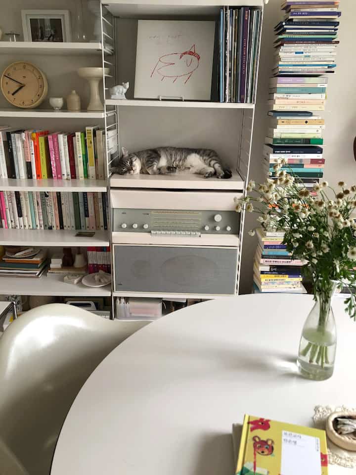 White-toned dining room featuring bookshelf and a cat comfortably lying, minimalist and natural atmosphere