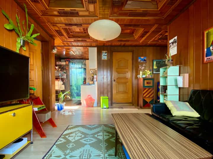 Wood tone living room with black sofa and yellow TV stand, featuring a cat lying on the floor in a natural setting
