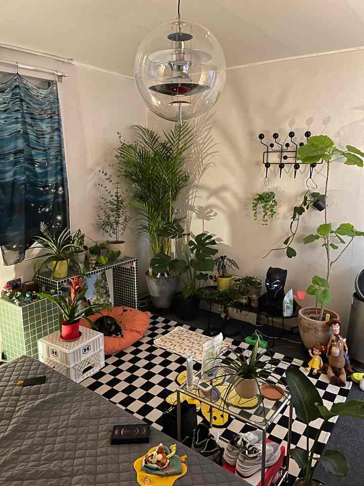 ナチュラルグリーンのリビング、様々な植物とモダンな家具が配置された雰囲気のある空間