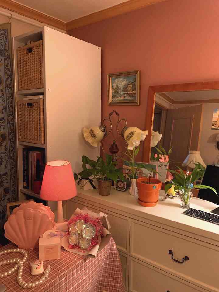 Pink-toned living room featuring a pink tablecloth, lamp, plants, and a cream dresser creating a cozy atmosphere