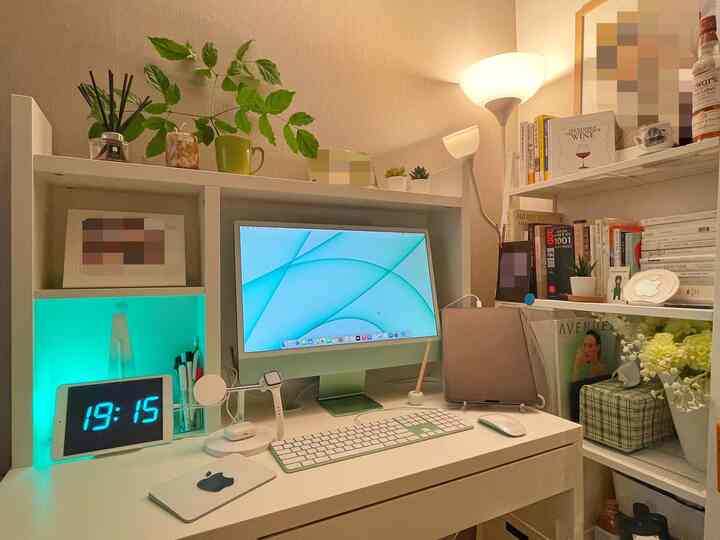 White and natural toned study featuring a computer desk and shelves with plants in a cozy home office