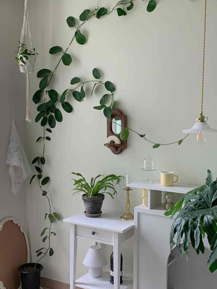 Cozy interior space with white-toned walls and furniture complemented by green plants