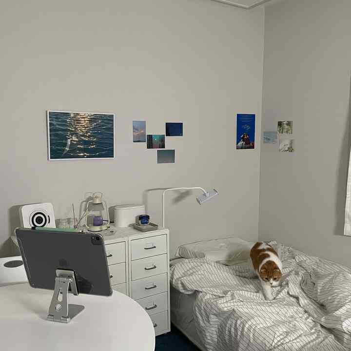 Cozy bedroom in white and beige tones featuring a cat walking on the bed, dresser, and tablet stand, representing a single household space