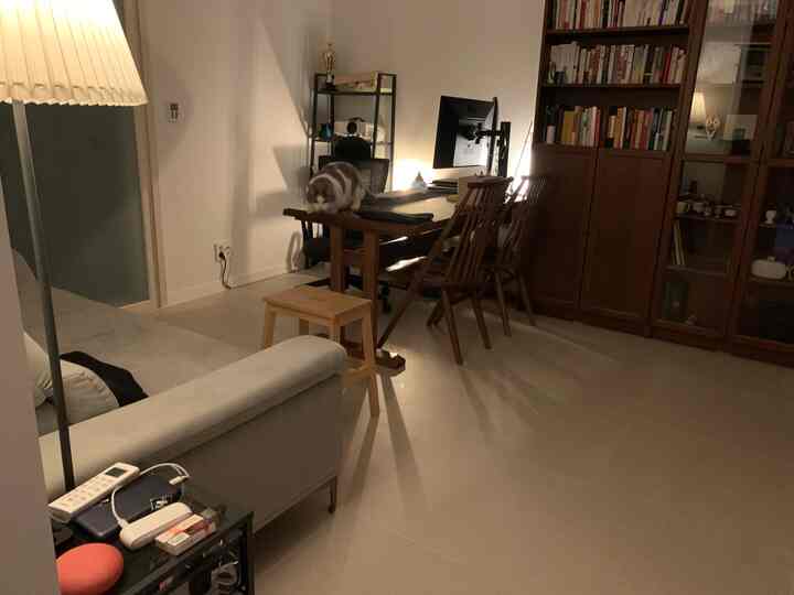 White walls and brown wooden furniture in a study featuring a cat on the desk, suggesting a pet-friendly remote work environment