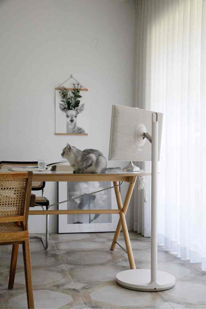 いつも私のそばに友達のようなペットスクリーン

後ろ姿がよりきれいなLGスタンバイ
タッチが適用された画面で 
モバイルのように使う 
ワイヤレスで家のどこにでも簡単に移動できます。

私はリビングルームで椅子に座ってYouTubeを見るのが好きですが、ラップトップにワイヤレスで接続してサブモニターとしても活用しています。
サウンドも良くてBGMにしっかりと置いて作業するのにぴったりですね:)