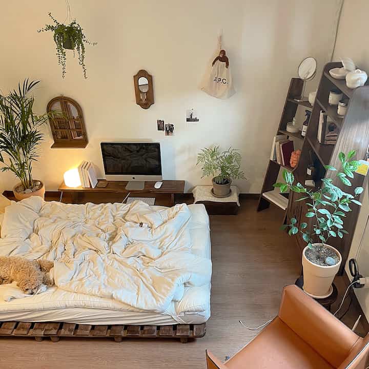 Natural wood tones and white hues define this studio bedroom featuring a bookshelf and plants in a cozy, relaxed atmosphere