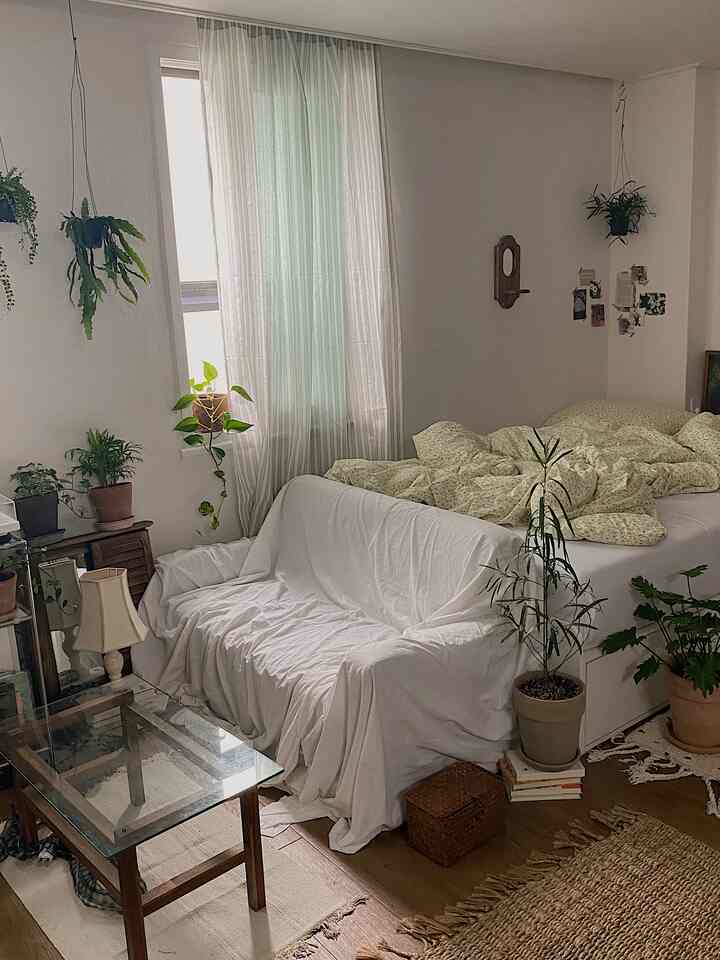 白とナチュラルカラーのワンルームリビング、植物とヴィンテージ雑貨が配置された雰囲気のある空間