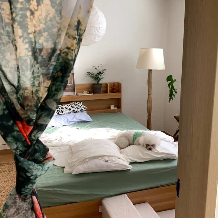 White and wood tone studio bedroom space featuring a cozy bed with a small dog resting peacefully, creating a relaxing atmosphere