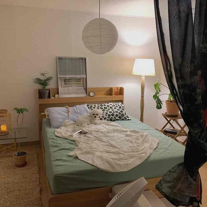 White and wood-tone natural modern bedroom with a dog resting on the central bed, plants and floor lamp positioned creating cozy atmosphere