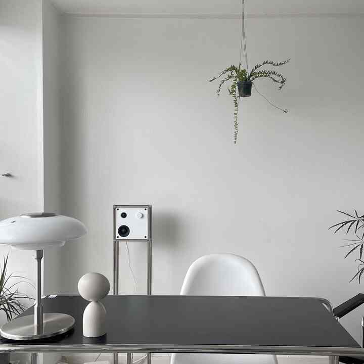 White and black toned home office featuring a black desk, white chair, table lamp, and plants in a clean minimalist setting