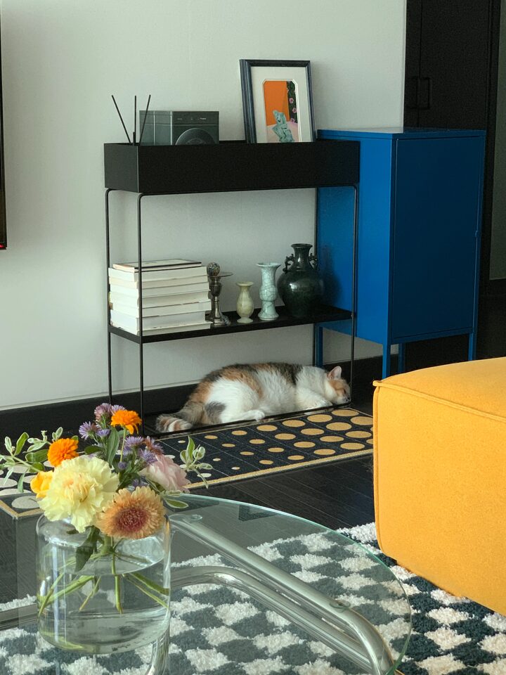 short form carousel card thumbnail