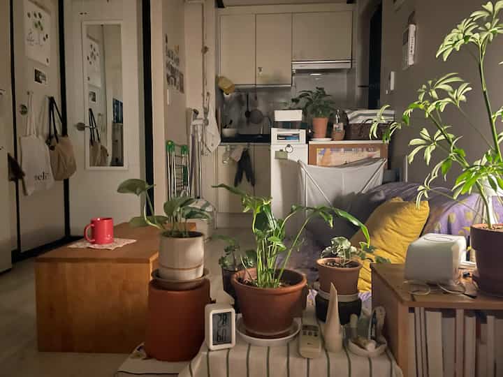 ナチュラルな色調のコンパクトなキッチンとリビングスペース、多数の植物と木製家具が配置された居心地の良い一人暮らしの寝室