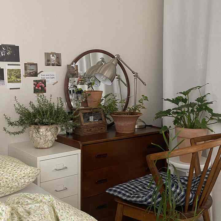 白い壁とナチュラルな木製家具が調和した寝室、多様な植物が置かれたヴィンテージ風の雰囲気あるインテリア