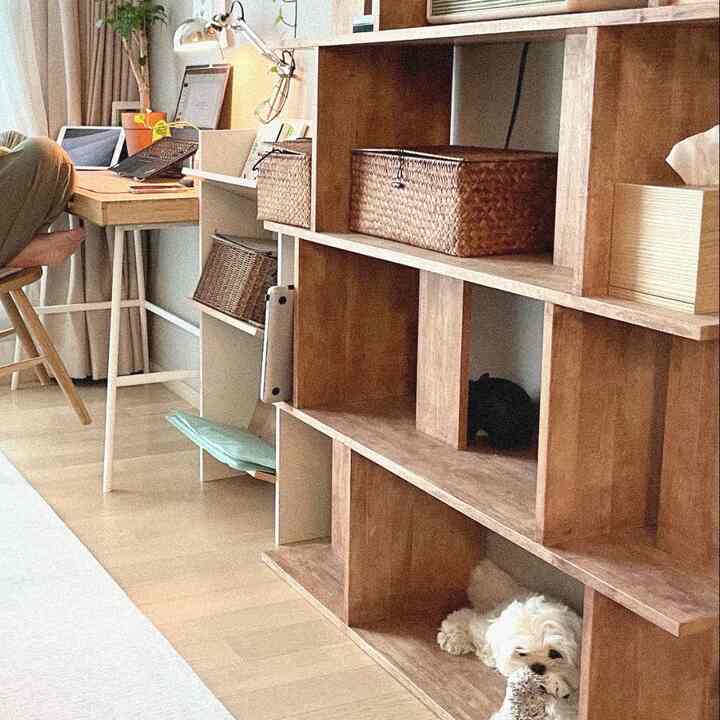 Natural wood-tone home office featuring a wooden desk, shelves, and two pets creating a cozy atmosphere