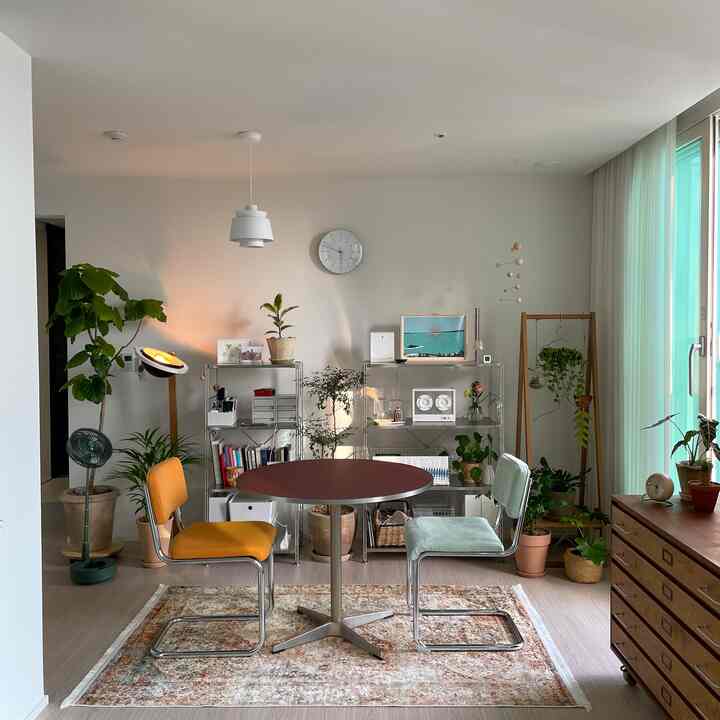 White-toned walls and wood furniture in a two-person dining space featuring various plants and shelves, creating a natural and modern interior