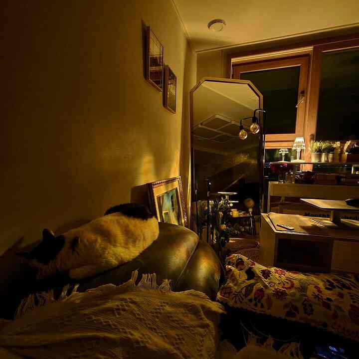 Warm beige and dark brown toned living room featuring a sofa with a cat on it, rug, ambient lighting, and a mirror creating a cozy atmosphere