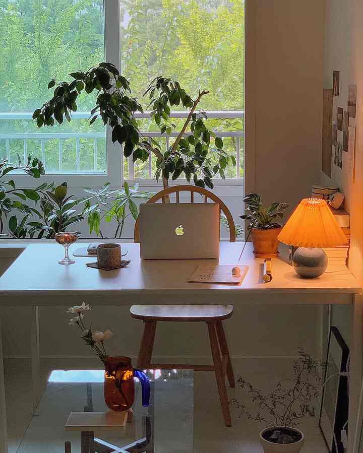 私のお気に入りのグリーンビューコレクション（with.Apple）

🏷 instagram: lyckanoni
🎞 youtube:ハノニ HANONI