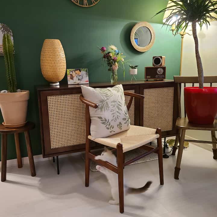 Cozy living room with green walls, wood-tone rattan sideboard and chairs, featuring a cat playing under a chair