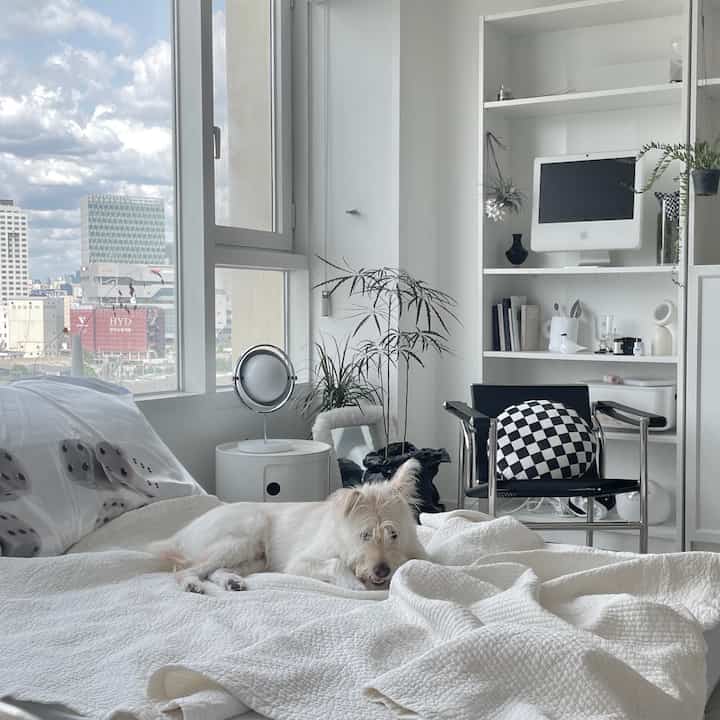 白と黒の調和が美しい寝室、ベッドに犬が横たわり、デスクと棚が配置された雰囲気のある空間
