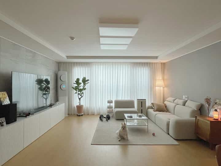 A white and beige toned living room featuring a simple sofa, transparent coffee table, and a dog in a natural, modern newlywed home space