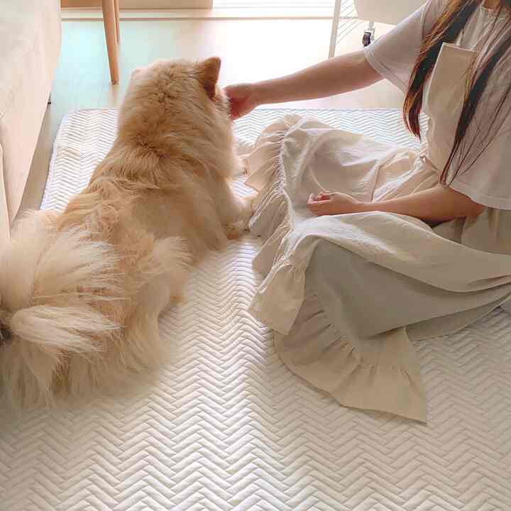 Beige-toned bedroom with a large dog and person sitting comfortably, featuring a natural and cozy atmosphere