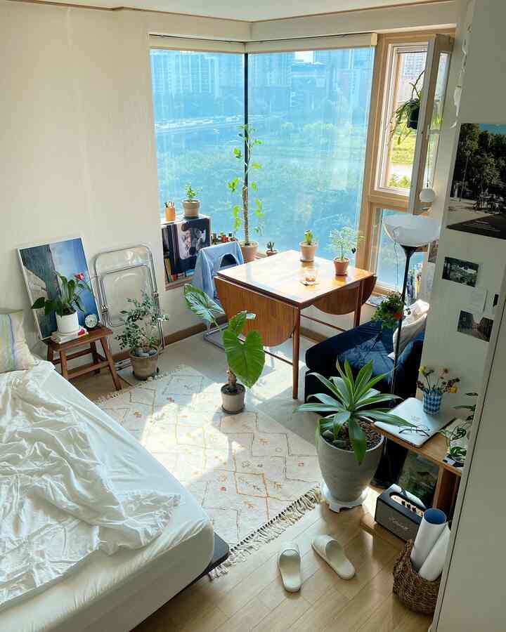 Natural tone studio apartment living room featuring dining table, sofa, and various plants creating a cozy bright space