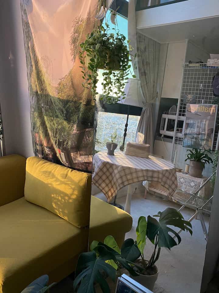 Cozy living room with warm yellow sofa, green plants, and a round table featuring a checkered tablecloth