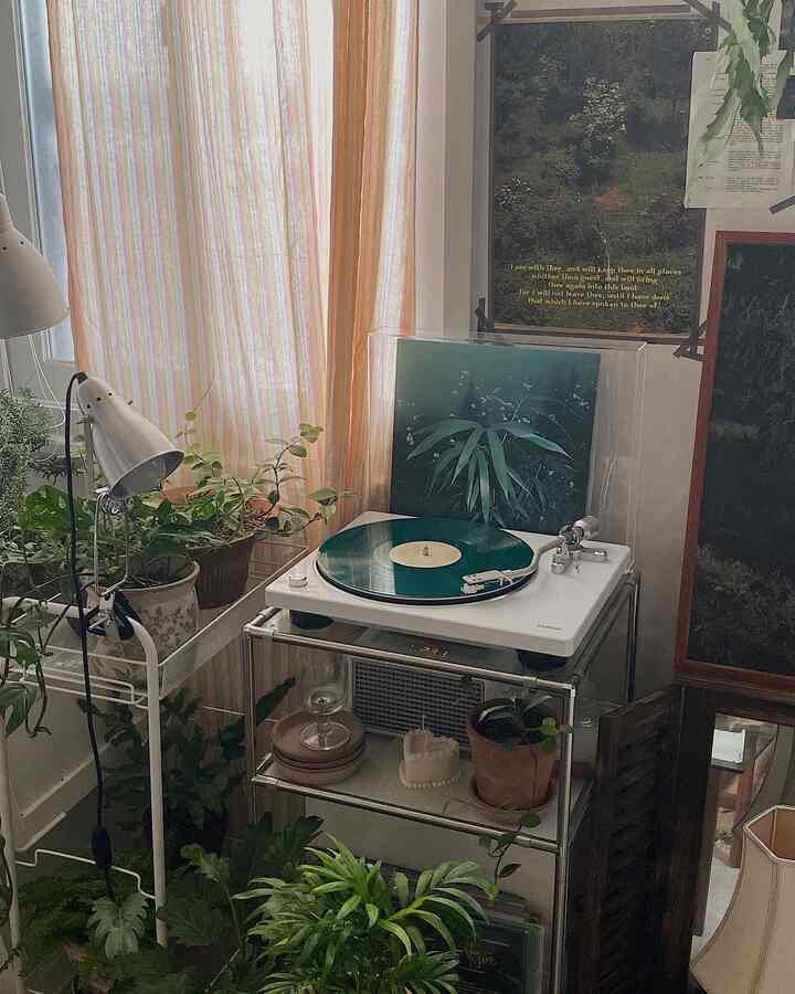 White and green-toned plant interior space featuring a white turntable and yellow striped curtains with a vintage cozy atmosphere