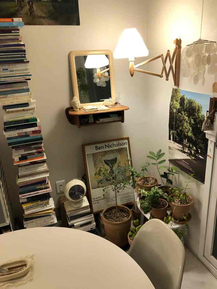 White-walled small room featuring wood-tone lighting, abundant potted plants, and stacks of books creating a cozy interior