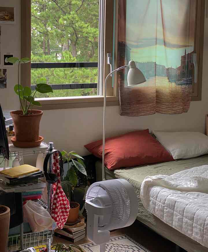 A naturally lit studio bedroom featuring a white floor lamp, fabric poster, and potted plants creating a cozy atmosphere