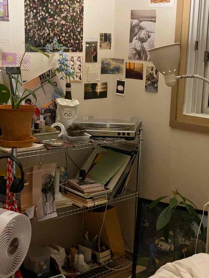 Natural-toned small room featuring metal shelves, plants, and wall decor creating a cozy atmosphere