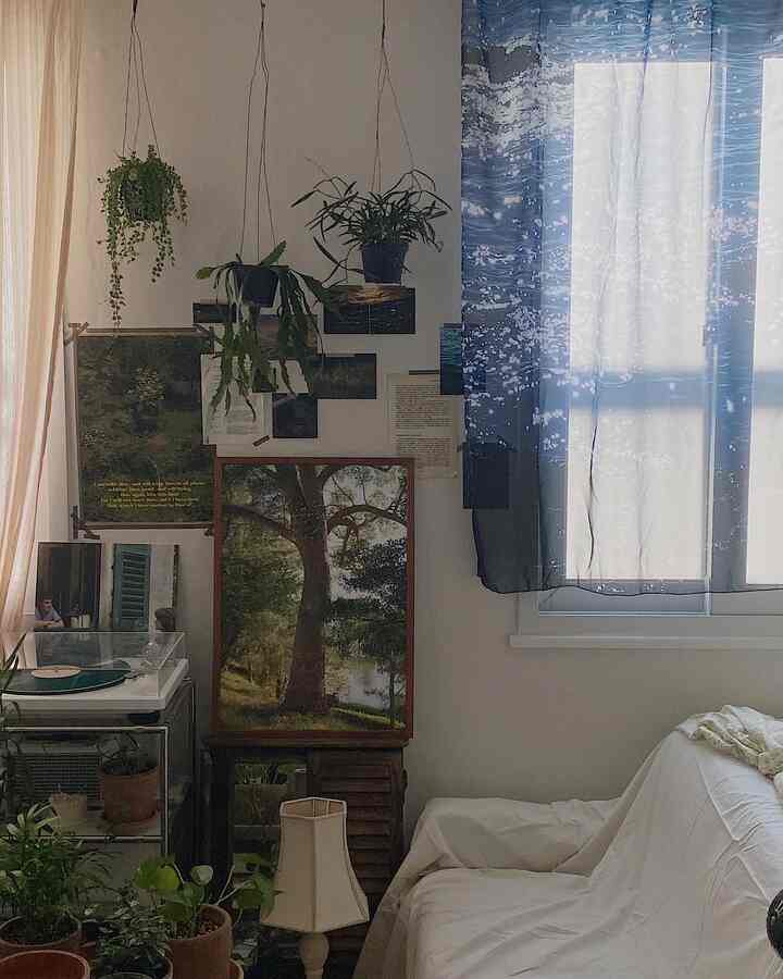 白と青の色調のリビング、ソファと多様な植物が配置された雰囲気のあるナチュラルな空間