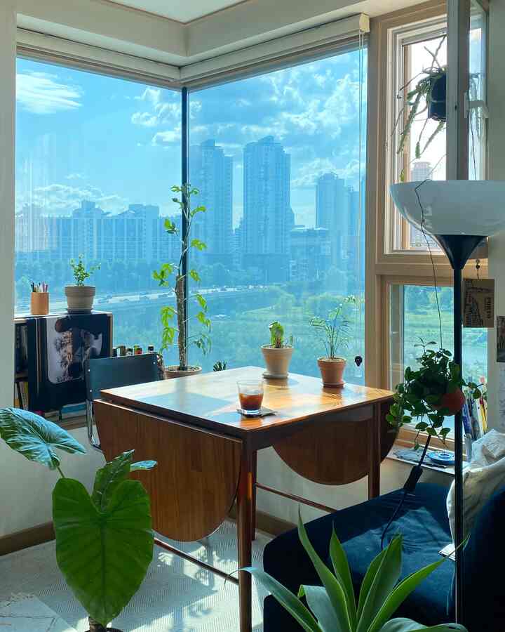 Bright natural light fills a compact living room with wood-tone dining table and abundant plants, creating a cozy home cafe atmosphere