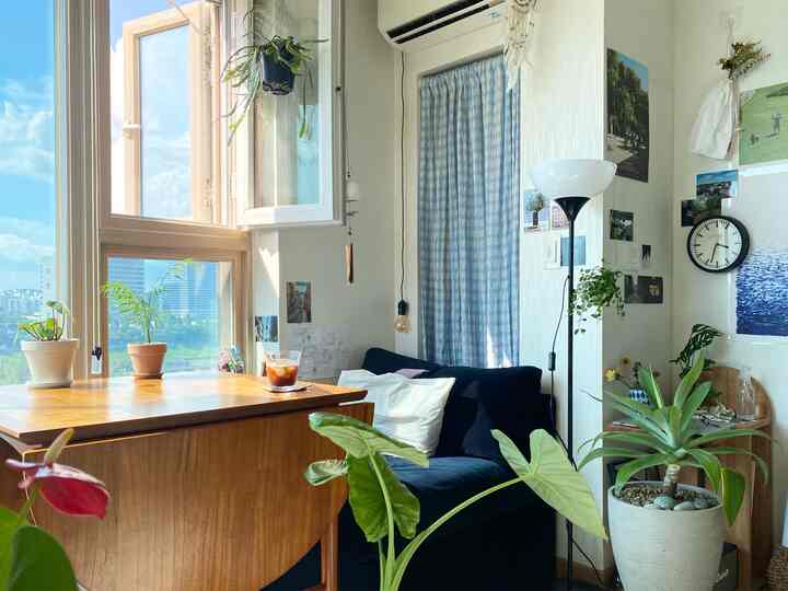 Natural toned single household living room featuring checkered curtains and assorted plants with cozy ambiance