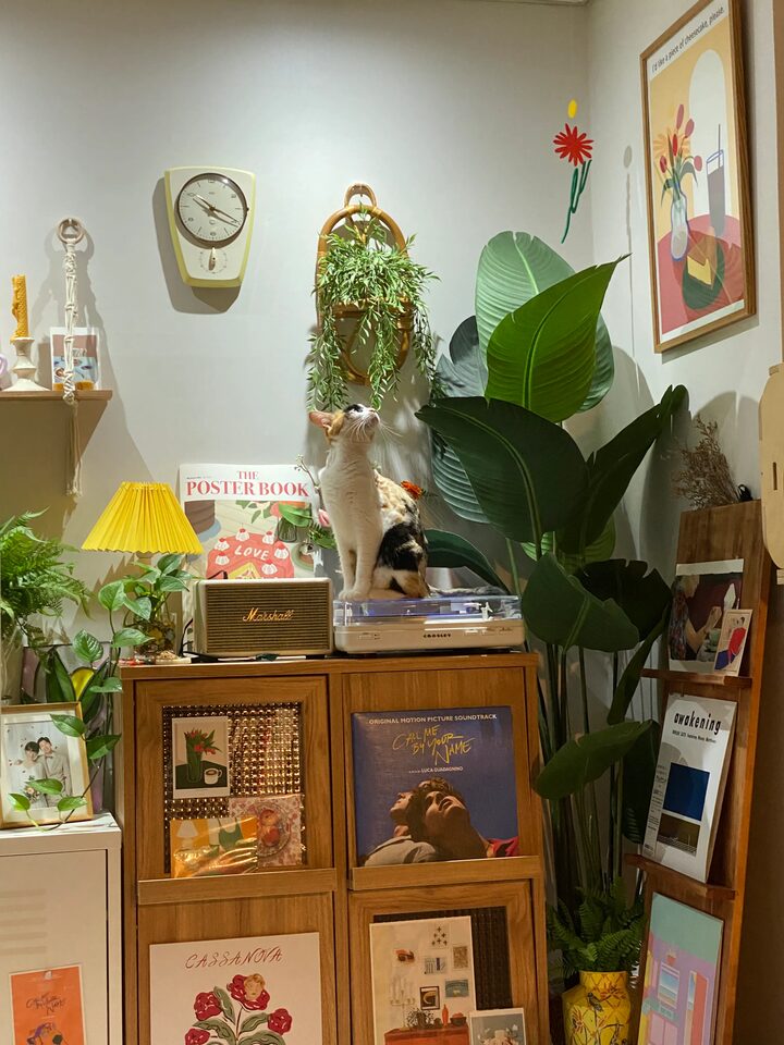 short form carousel card thumbnail