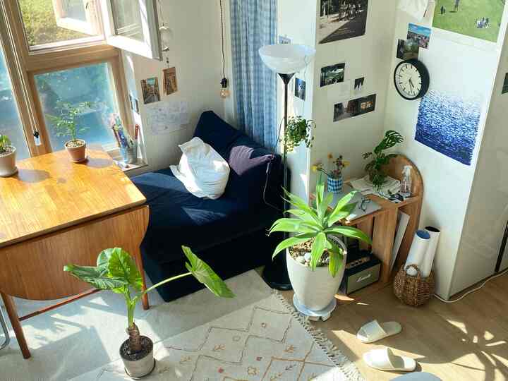 Natural-tone living room featuring a dark blue sofa and various plants, creating a bright and cozy atmosphere