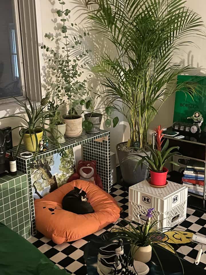 ナチュラルカラーのリビング、緑の植物とオレンジのペットベッドに寝ている犬が配置された落ち着いた雰囲気のあるインテリア
