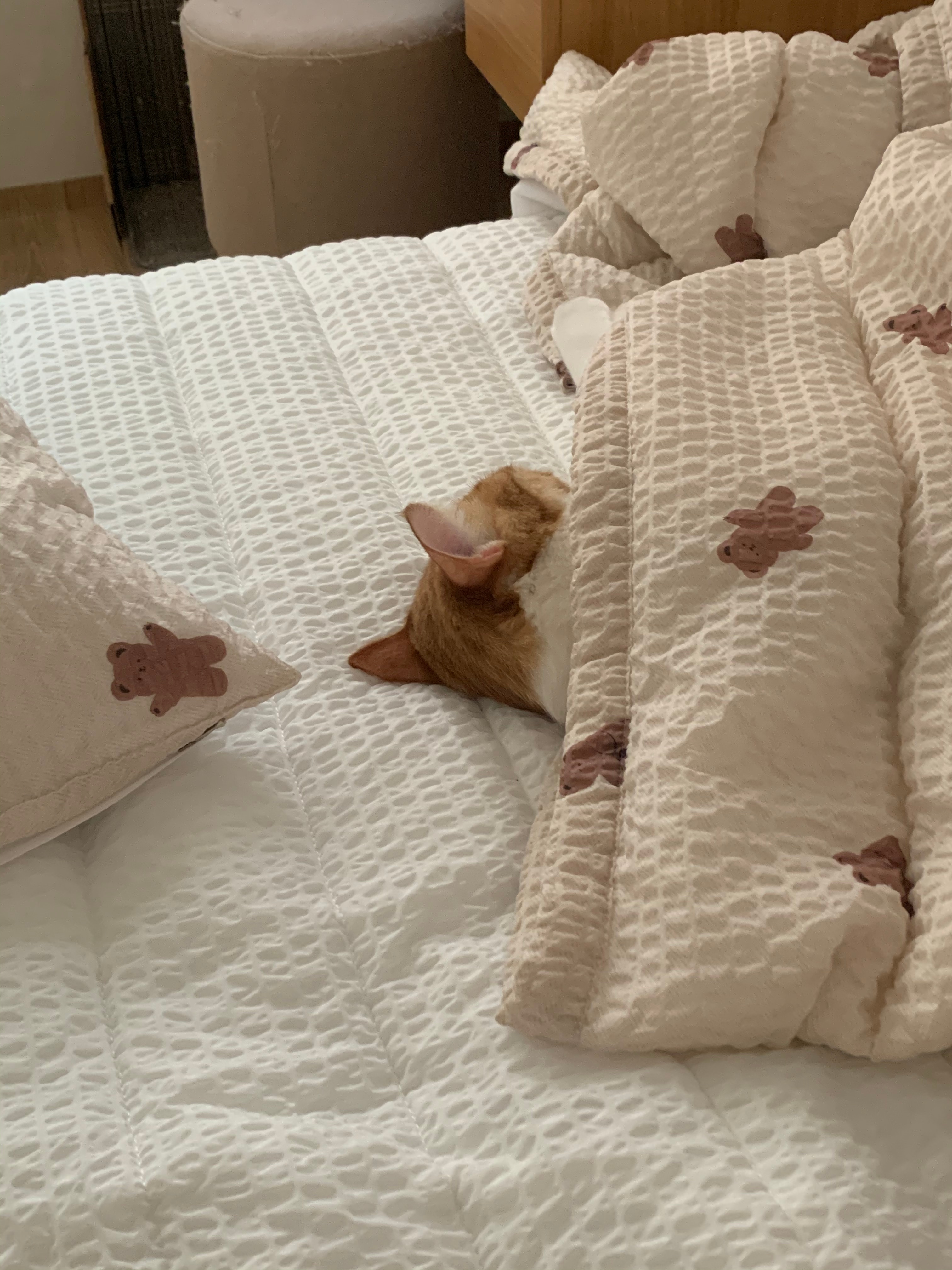 Seersucker and Cotton Summer Comforter Set user photo