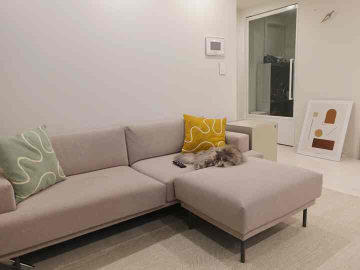 Natural tone beige sectional sofa living room with a cat resting on the chaise, clean and cozy atmosphere