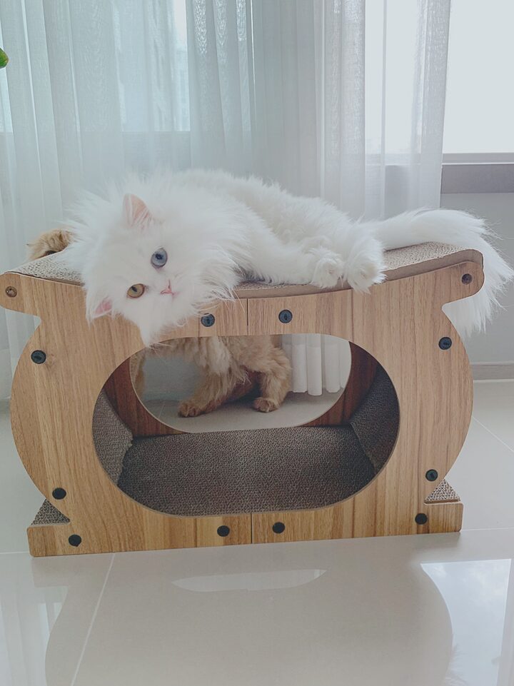 short form carousel card thumbnail