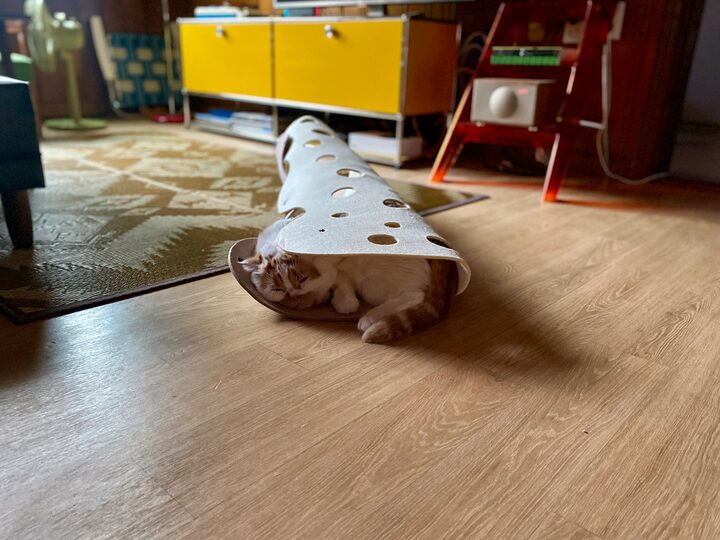 short form carousel card thumbnail