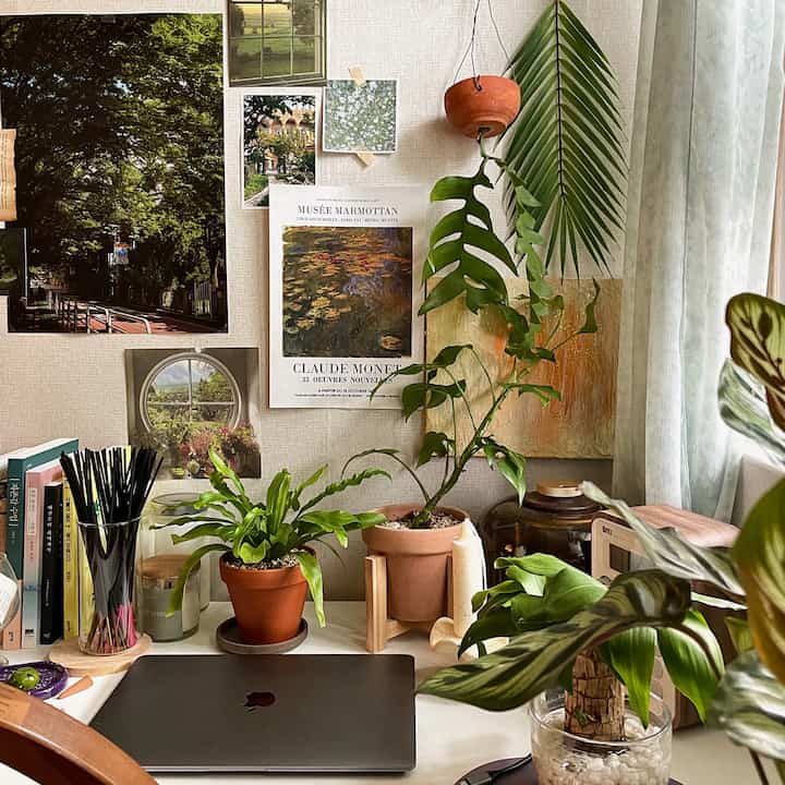 Natural-toned home office space featuring multiple potted plants, a desk with laptop, and wall posters creating a cozy atmosphere