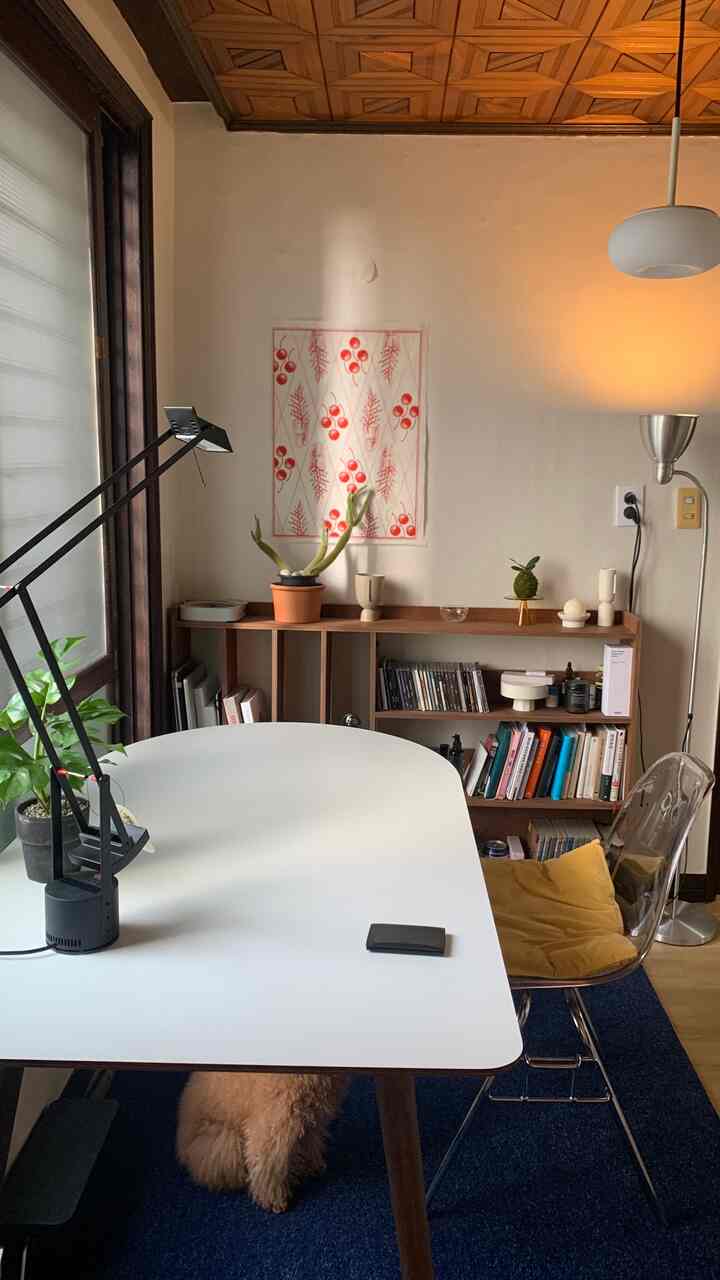 Natural modern home office with white and wood tones, featuring a transparent chair, blue rug, and a pet dog under the desk